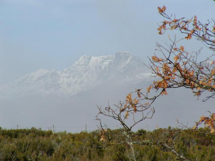 Casa Rural Ruralba Alba de los Cardaños Exteriör bild